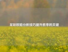 足彩欧赔分析技巧提升胜率的关键