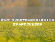 意甲积分榜足彩意大利甲级联赛（意甲）的最新积分榜及足球彩票预测