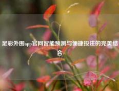足彩外围app官网智能预测与便捷投注的完美结合