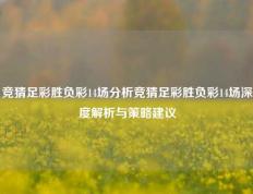 竞猜足彩胜负彩14场分析竞猜足彩胜负彩14场深度解析与策略建议