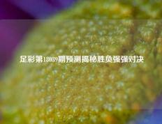 足彩第18039期预测揭秘胜负强强对决