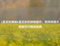 k皇足彩揭秘K皇足彩的神秘面纱，如何利用大数据进行精准预测