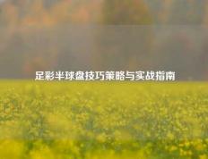 足彩半球盘技巧策略与实战指南