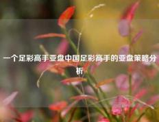 一个足彩高手亚盘中国足彩高手的亚盘策略分析
