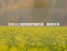 足彩18122期预测把握机遇，赢得未来