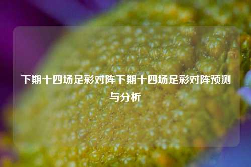 下期十四场足彩对阵下期十四场足彩对阵预测与分析