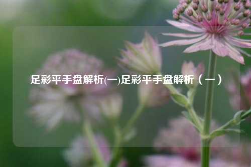 足彩平手盘解析(一)足彩平手盘解析（一）