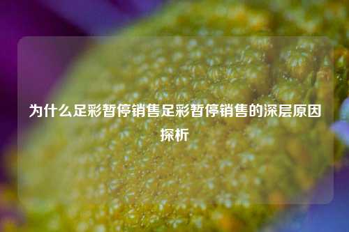 为什么足彩暂停销售足彩暂停销售的深层原因探析