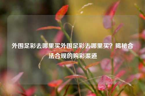外围足彩去哪里买外围足彩去哪里买？揭秘合法合规的购彩渠道