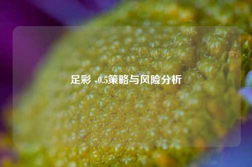 足彩 -0.5策略与风险分析