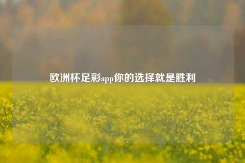 欧洲杯足彩app你的选择就是胜利