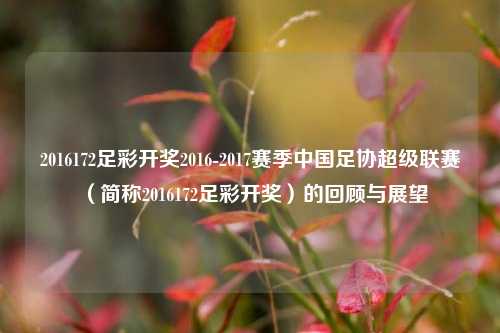 2016172足彩开奖2016-2017赛季中国足协超级联赛（简称2016172足彩开奖）的回顾与展望
