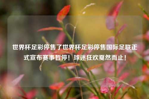 世界杯足彩停售了世界杯足彩停售国际足联正式宣布赛事暂停！球迷狂欢戛然而止！