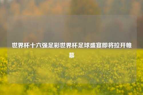 世界杯十六强足彩世界杯足球盛宴即将拉开帷幕