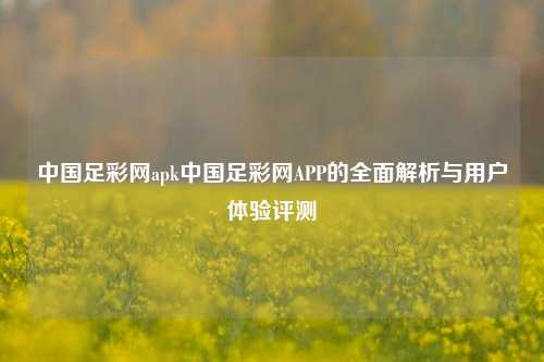中国足彩网apk中国足彩网APP的全面解析与用户体验评测