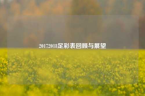 20172018足彩表回顾与展望