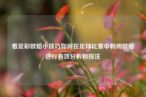 看足彩欧赔小技巧如何在足球比赛中利用欧赔进行有效分析和投注