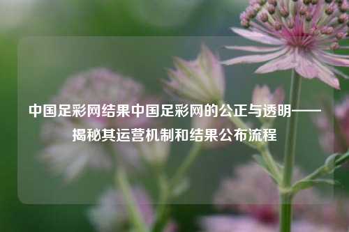 中国足彩网结果中国足彩网的公正与透明——揭秘其运营机制和结果公布流程