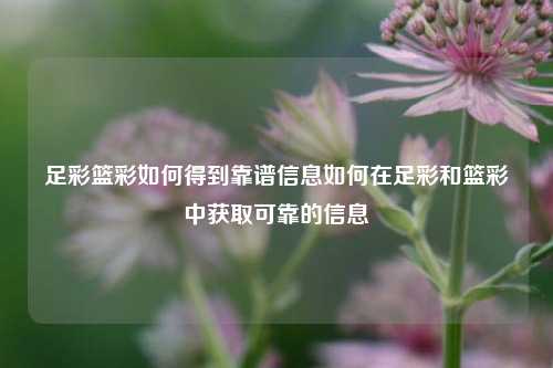 足彩篮彩如何得到靠谱信息如何在足彩和篮彩中获取可靠的信息