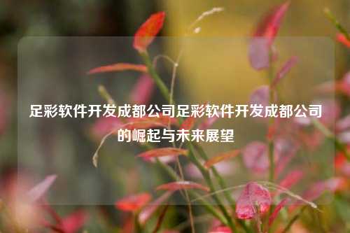 足彩软件开发成都公司足彩软件开发成都公司的崛起与未来展望