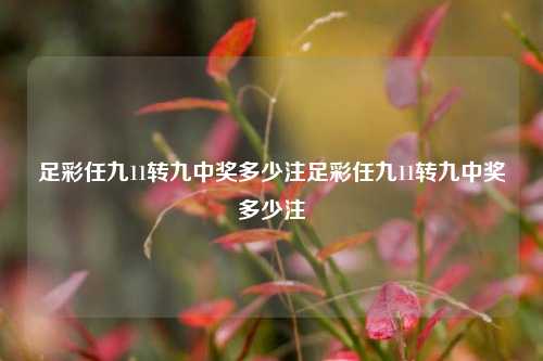 足彩任九11转九中奖多少注足彩任九11转九中奖多少注