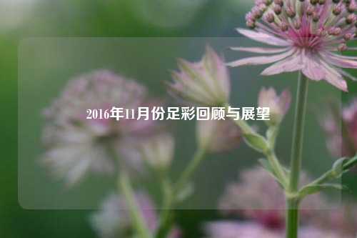 2016年11月份足彩回顾与展望