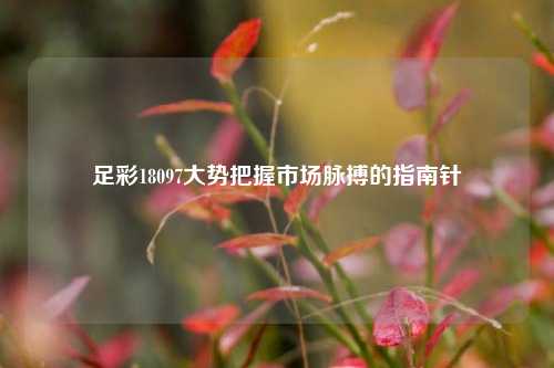 足彩18097大势把握市场脉搏的指南针