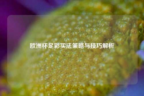 欧洲杯足彩买法策略与技巧解析