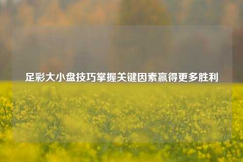 足彩大小盘技巧掌握关键因素赢得更多胜利