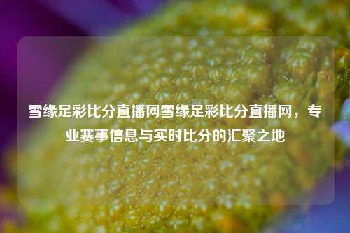 雪缘足彩比分直播网雪缘足彩比分直播网，专业赛事信息与实时比分的汇聚之地
