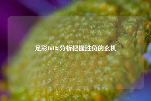 足彩16188分析把握胜负的玄机