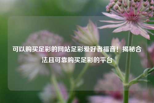 可以购买足彩的网站足彩爱好者福音！揭秘合法且可靠购买足彩的平台