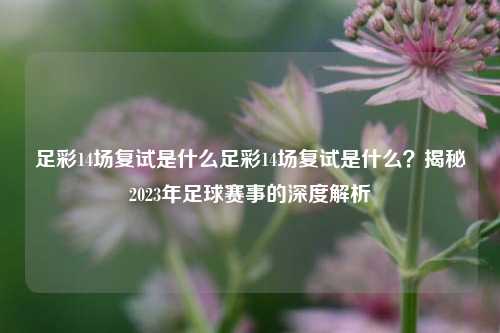 足彩14场复试是什么足彩14场复试是什么？揭秘2023年足球赛事的深度解析