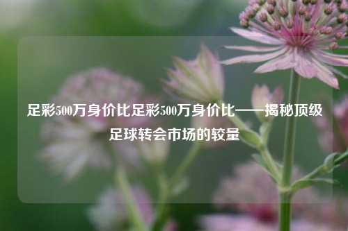 足彩500万身价比足彩500万身价比——揭秘顶级足球转会市场的较量