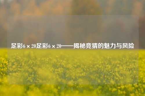 足彩6×20足彩6×20——揭秘竞猜的魅力与风险