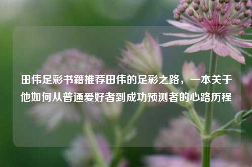 田伟足彩书籍推荐田伟的足彩之路，一本关于他如何从普通爱好者到成功预测者的心路历程