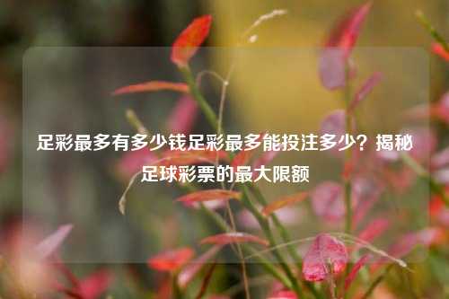 足彩最多有多少钱足彩最多能投注多少？揭秘足球彩票的最大限额