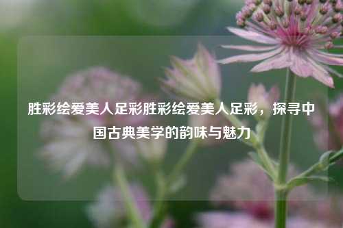 胜彩绘爱美人足彩胜彩绘爱美人足彩，探寻中国古典美学的韵味与魅力