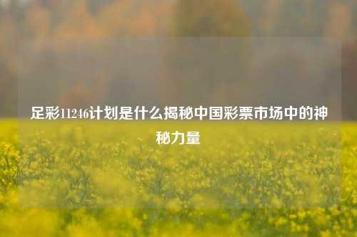 足彩11246计划是什么揭秘中国彩票市场中的神秘力量