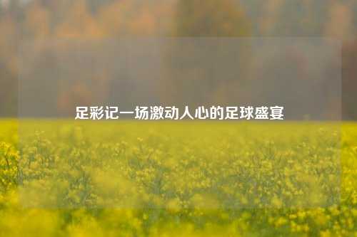 足彩记一场激动人心的足球盛宴
