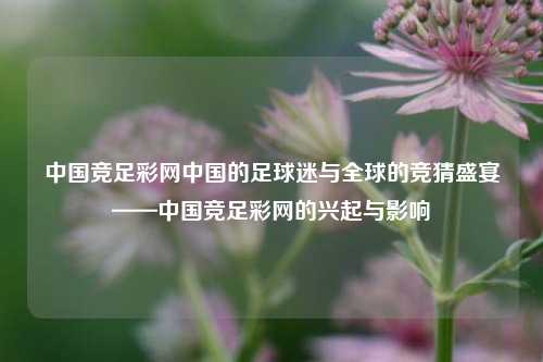中国竞足彩网中国的足球迷与全球的竞猜盛宴——中国竞足彩网的兴起与影响