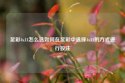 足彩4x11怎么选如何在足彩中选择4x11的方式进行投注
