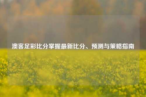 澳客足彩比分掌握最新比分、预测与策略指南