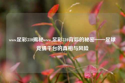 www足彩310揭秘www.足彩310背后的秘密——足球竞猜平台的真相与风险