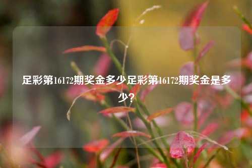 足彩第16172期奖金多少足彩第16172期奖金是多少？