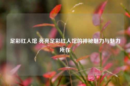 足彩红人馆 亮亮足彩红人馆的神秘魅力与魅力所在