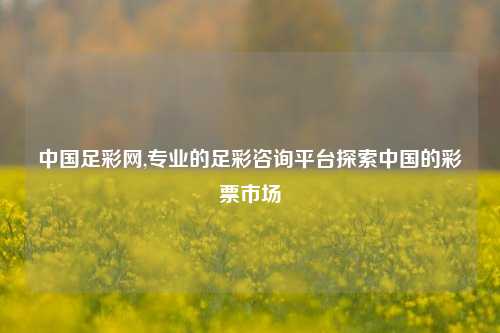 中国足彩网,专业的足彩咨询平台探索中国的彩票市场
