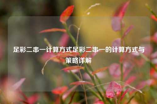 足彩二串一计算方式足彩二串一的计算方式与策略详解