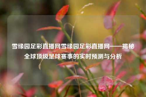 雪缘园足彩直播网雪缘园足彩直播网——揭秘全球顶级足球赛事的实时预测与分析