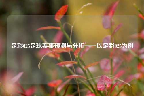 足彩025足球赛事预测与分析——以足彩025为例